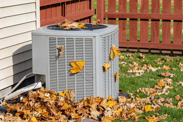 Best HVAC maintenance near me  in Paulden, AZ